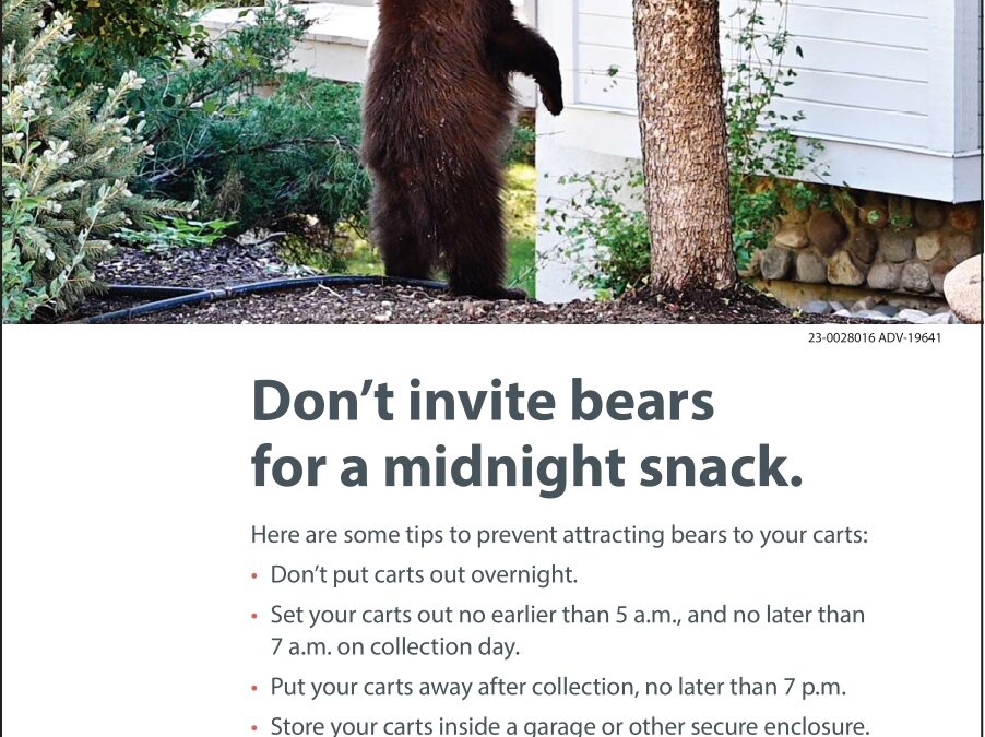 Be Bear Smart